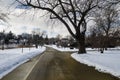 Road through Onondaga Park