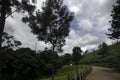 The road from Ooty to Conoor India Royalty Free Stock Photo