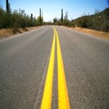 Road in the Organ Pipe National Monument Royalty Free Stock Photo