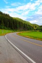 Beautiful road landscape forest trees woods green blue sky summer travel vertical highway nature asphalt rural way transportation Royalty Free Stock Photo