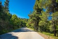 Road over beautiful forest at Evia island. Greece