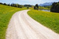 Road over meadow in spring