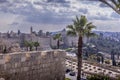 The road, palm trees, and garden around the fortress walls of the Old Town of Jerusalem in Israel.