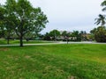 The road and trees at Naples, Florida