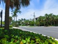 The road and trees at Naples, Florida