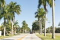 Road with palms in Fort Myers, Florida