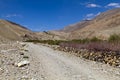 The road in Pamirs