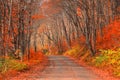 Road through Parc de la Jacques-cartier national park in Quebec Royalty Free Stock Photo