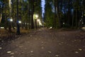 Road In the park in the evening with illuminated night lights Royalty Free Stock Photo