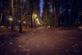 Road In the park in the evening with illuminated night lights Royalty Free Stock Photo