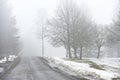 road and park in fog in early spring Royalty Free Stock Photo
