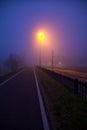 Road in a park on foggy day next to railroad tracks Royalty Free Stock Photo