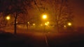 Road in the park during misty night