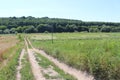 The road passes between the meadow and the field of ripe wheat. Royalty Free Stock Photo