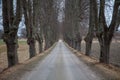 The road passing along the alley spring cloudy day. selective focus