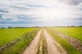 Road passing through the field Royalty Free Stock Photo