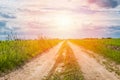 Road passing through the field Royalty Free Stock Photo