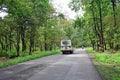 Road passing thru himalayan reserve forest Royalty Free Stock Photo