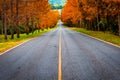 Road passthrough autumn forest