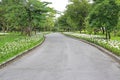 Road path pass through the flower and tree at park garden in the morning feeling refreshed.