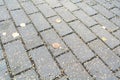 Road paved of brick stones in the fall. Cobble background