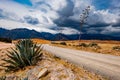 Road among Peru landscape