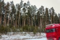The road in a pine forest. Winter, snow. Red truck rides