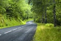 Road of Pirineos (Catalunya, Spain)