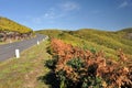 Road in Plateau of Parque natural de Madeira, Made