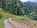 road on Pohorje Mountains. Slovenia. Green forest on hills