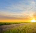 Road among a prairies at the sunset Royalty Free Stock Photo