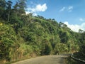 The road at Puluong National Park in Haiphong, Vietnam