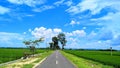 road in quiet rice fields Royalty Free Stock Photo