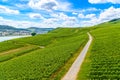 Road in Rhein Rhine river in Ruedesheim am Rhein, Rudesheim, Rhe Royalty Free Stock Photo