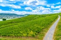 Road in Rhein Rhine river in Ruedesheim am Rhein, Rudesheim, Rhe Royalty Free Stock Photo