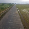 the road in the rice fields in a quiet village Royalty Free Stock Photo