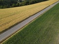 Road between ripe yellow crop field and green corn field on a sunny evening in summer