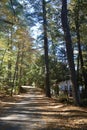 Road rising through woods on a sunny day in Maine lazy relax vacation remote Royalty Free Stock Photo