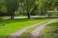 Road, river and trees Royalty Free Stock Photo