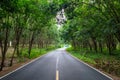 Road Through Rubber Forest Royalty Free Stock Photo