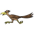 Road Runner Royalty Free Stock Photo