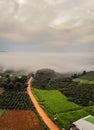 A road running on a coffee hill in Lam Ha, Lam Dong province, Vietnam Royalty Free Stock Photo