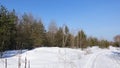 The road running through the snow will strip the forest, a sunny day.