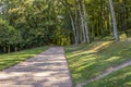 Road running under trees in the park of chateau Villandry, Loire Valley, France. Royalty Free Stock Photo