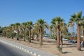 A road that runs along the beach with palm trees along Royalty Free Stock Photo