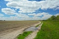 A road in rural area. A rural sand road with a puddle along a newly sown agricultural field and a green meadow in spring