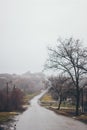 The road in the rural area in the Ukrainian village leading straight forward towards your dreams Royalty Free Stock Photo