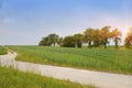 The road in rural areas in Germany, Bavaria, with brightly green fields and trees Royalty Free Stock Photo