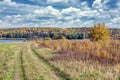 A road in the rural field leading to the lake among lush vegetation. Surroundings colored autumn yellow, red, golden and orange Royalty Free Stock Photo