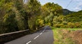 Road in rural landscape of trees and vineyards in Languedoc, France Royalty Free Stock Photo